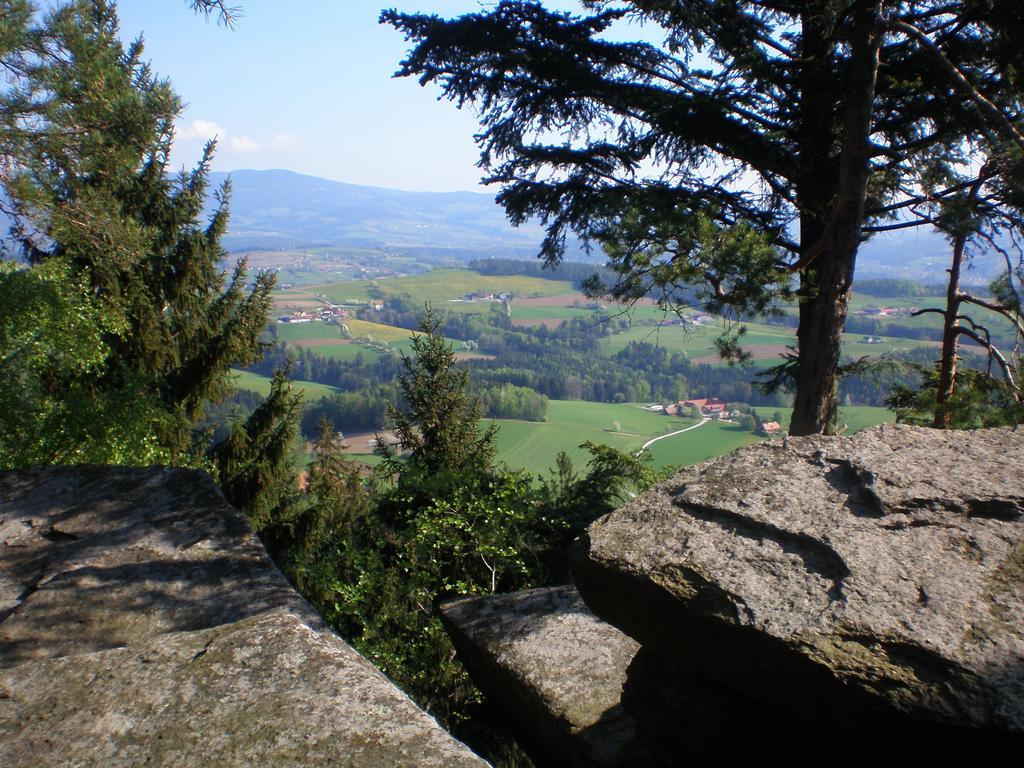 Villa Wiesenbauer - Schlögl Anton Grafendorf bei Hartberg Exterior foto